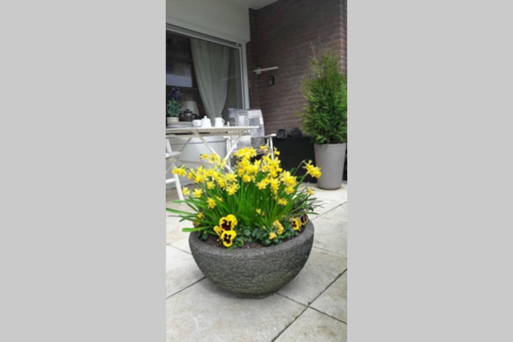 1 Zimmer Appartement Cap Arcona Neustadt in Holstein Exteriér fotografie