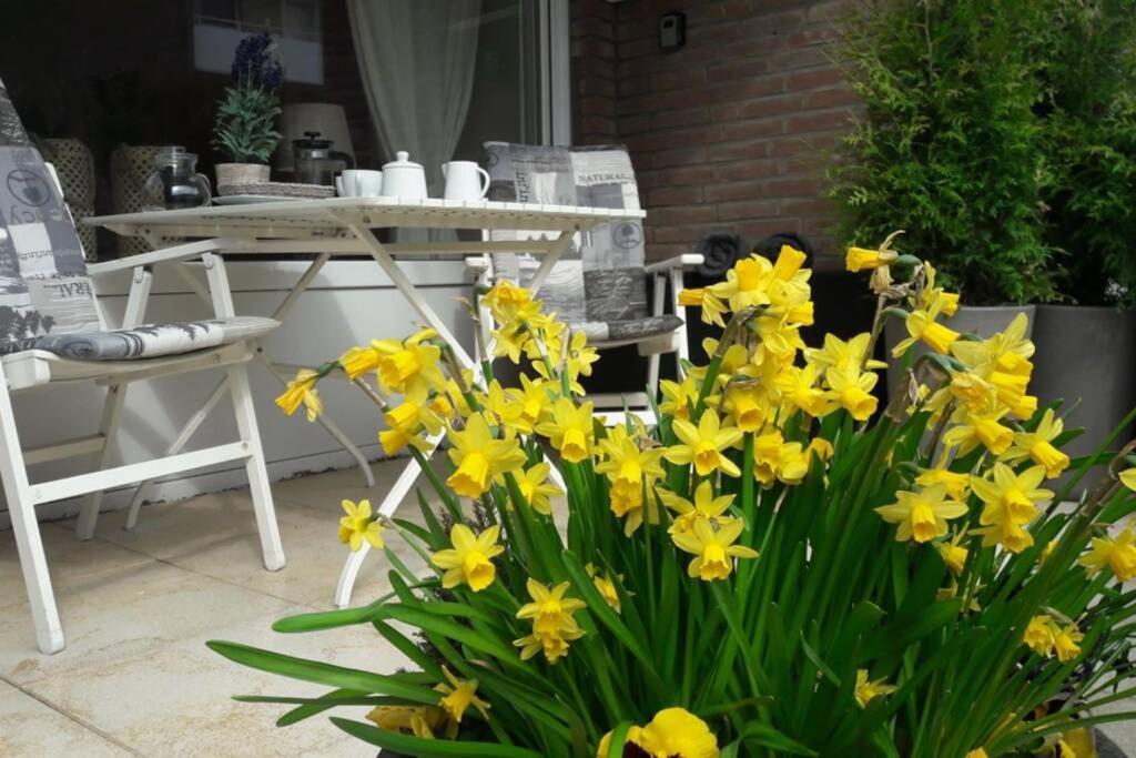 1 Zimmer Appartement Cap Arcona Neustadt in Holstein Exteriér fotografie